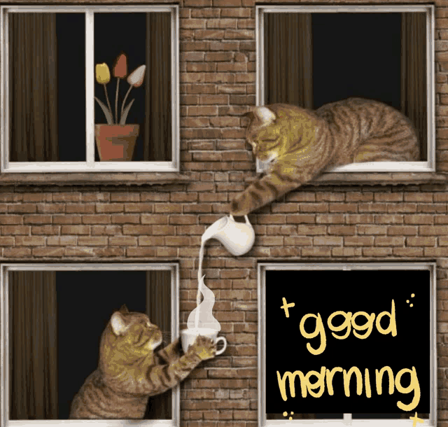 Hadeel928 Good Morning GIF - Hadeel928 Good Morning Cat Coffee GIFs