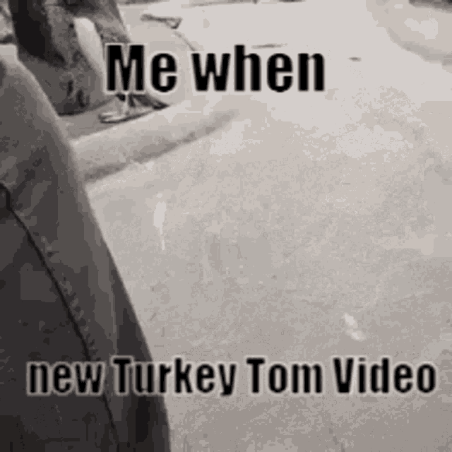 a black and white photo of a dog standing next to a couch with the words `` me when new turkey tom video '' .