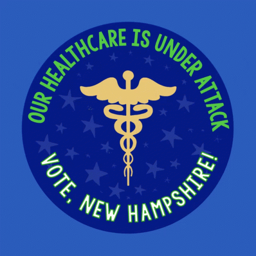 New Hampshire Election Election GIF - New Hampshire Election Election Voter GIFs