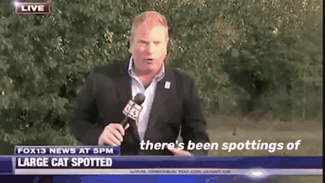News Fails Large Cat Spotted GIF