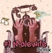 a picture of a man in a wheelchair holding a telephone with the words # 1 malewife picmix