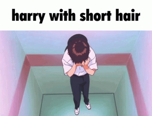 Harry Hair GIF - Harry Hair Shinji GIFs