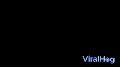 a lightning strike is displayed on a viralhog video