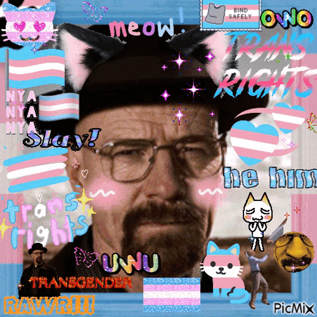 a picture of a man with cat ears and the words " he hiss he hiss " on the bottom