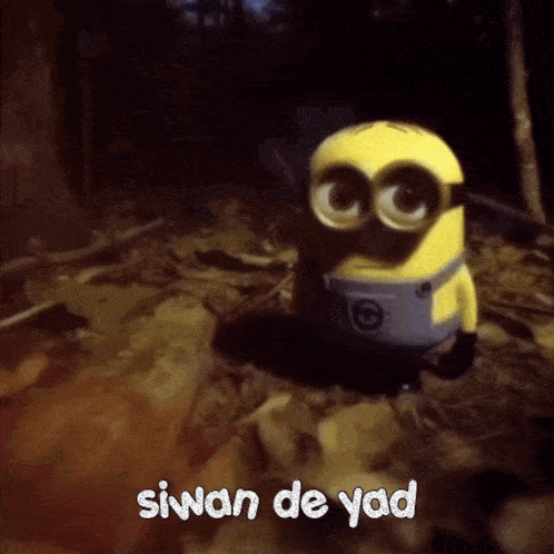 a picture of a minion with the words siwan de yad on it