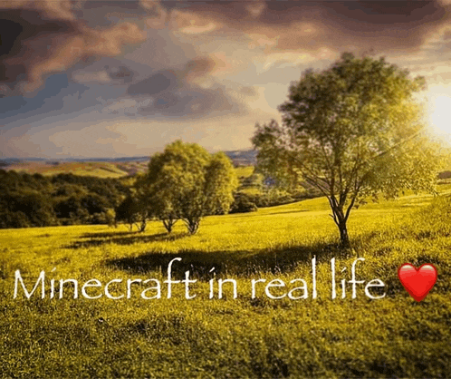 a field with trees and the words minecraft in real life