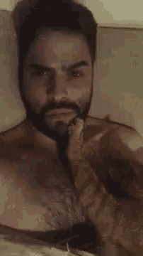 Cats Guy GIF