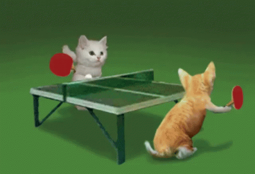 Kitty Table Tennis GIF