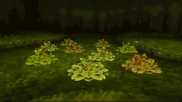 a bunch of plants with holes in them are sitting in the grass