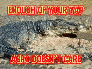 a picture of a crocodile with the words enough of your yap agro does n't care above it