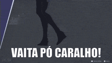 a video game character with the words " vaita po caralho " written on the bottom