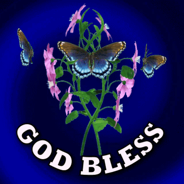 a picture of pink flowers and butterflies with the words god bless on the bottom