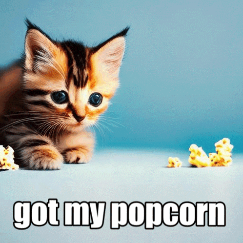 a kitten is laying next to a pile of popcorn with the words got my popcorn below it