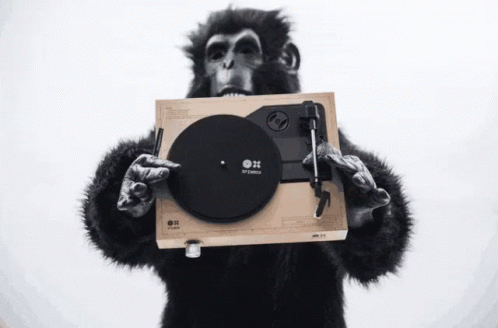 Gorila Spinbox GIF - Gorila Spinbox Music GIFs