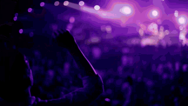 a blurry picture of a crowd at a concert with purple lights