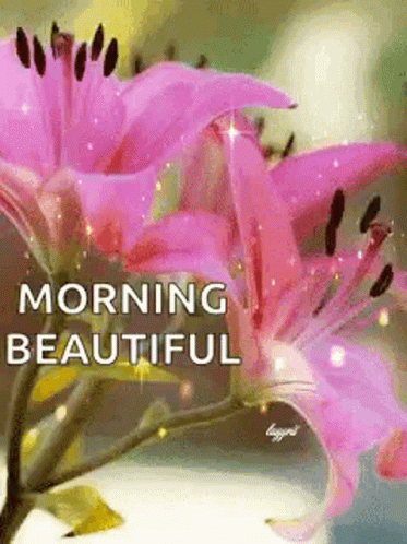 Morning Beautiful GIF - Morning Beautiful Good GIFs