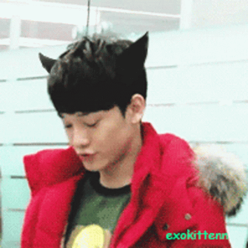 Chen Kpop GIF - Chen Kpop Cute GIFs