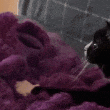 Cat Kneading GIF - Cat Kneading Cute Hug GIFs