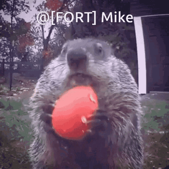 Fort Mike Mike4221 GIF - Fort Mike Mike4221 Craigly GIFs