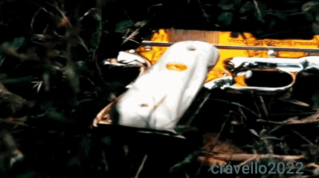 Victory Loves Preparation Amat Victoria Curam GIF