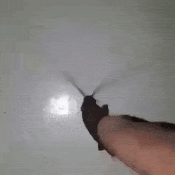 a close up of a person holding a cockroach on a white surface .