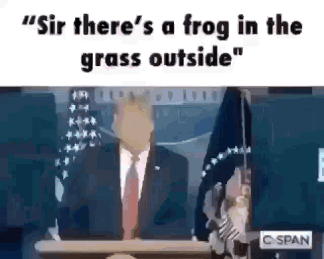 a man in a suit and tie is giving a speech and says `` sir there 's a frog in the grass outside ``