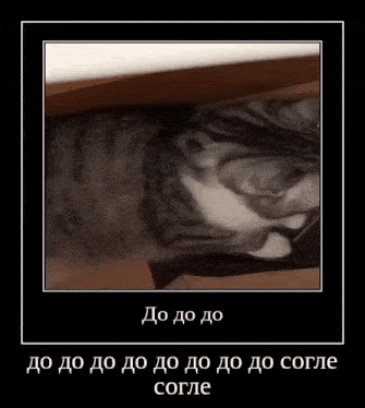 a gray and white cat is laying down on a table with a black frame .