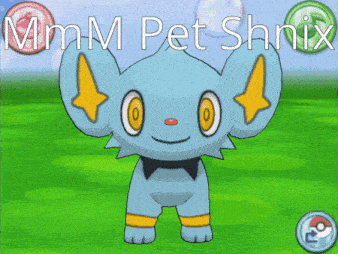 Shinx Pet GIF - Shinx Pet Shnix GIFs