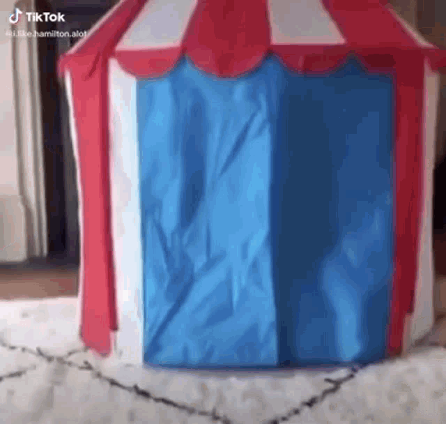 a small red , white , and blue tent is sitting on a rug .