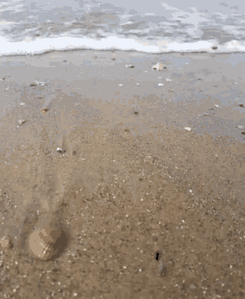 Beach Waves GIF - Beach Waves Sea GIFs