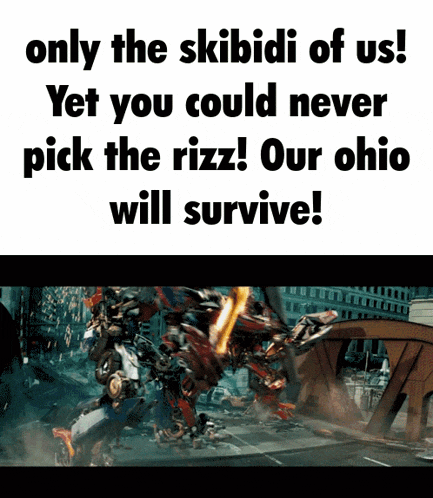 a poster that says " only the skibidi of us yet you could never pick the rizz "