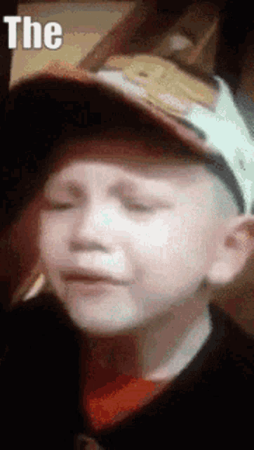 Beavers GIF