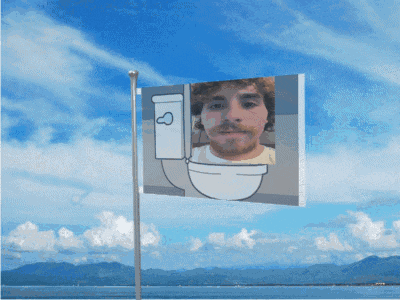 a flag that has a picture of a man in a toilet