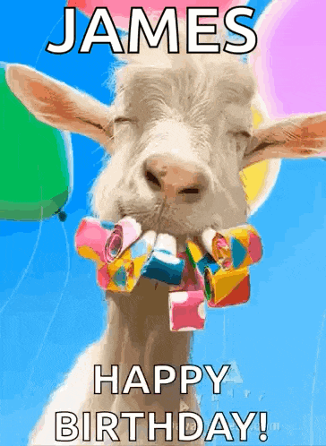 a goat with balloons and party streamers in its mouth says happy birthday to james