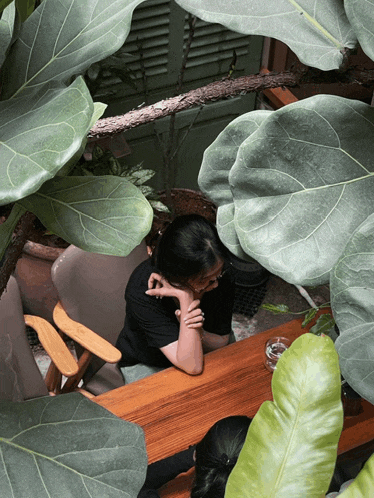a woman sits at a table surrounded by green plants