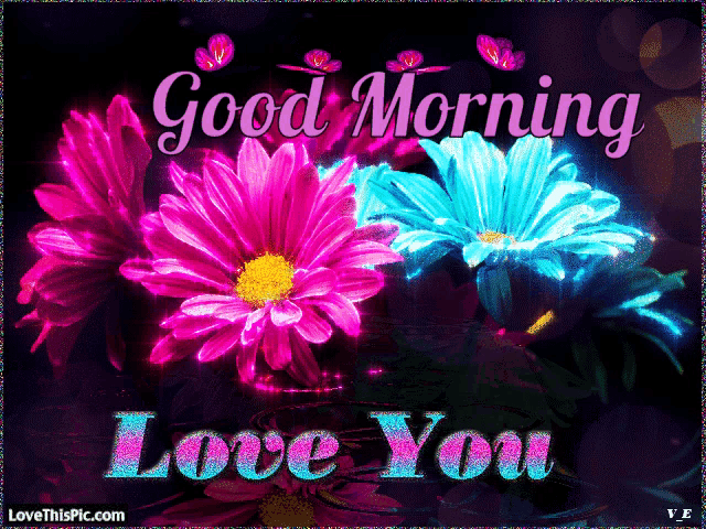 a greeting card that says good morning love you on it