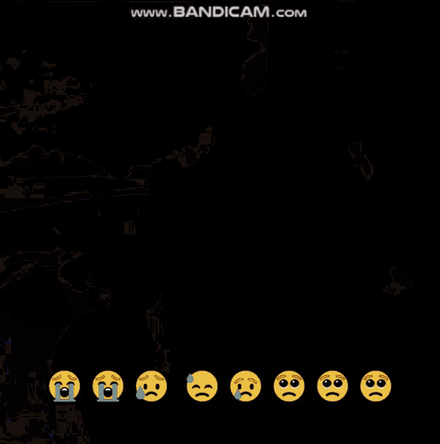 a video of a cat and a mouse is being played on bandicam.com