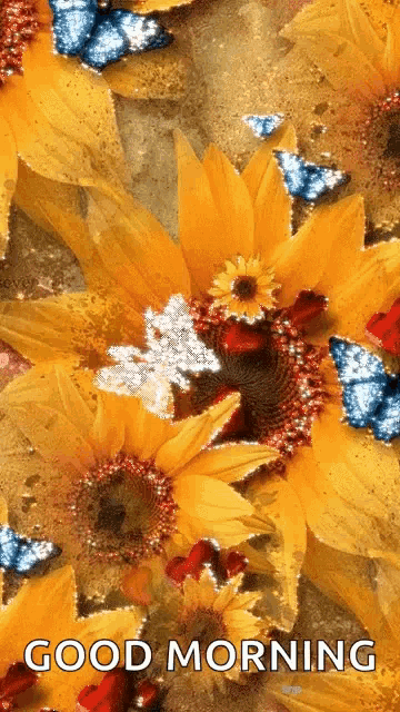 a picture of sunflowers and butterflies with the words good morning below it