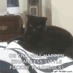 a black cat is laying on a bed with the words `` or this will happen ( shameless little fucker 's flashback ) ''