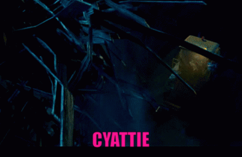 Cyattie Ting GIF - Cyattie Ting Weopslenquakush GIFs