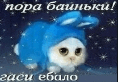 a cat wearing a blue hat with bunny ears is laying down .