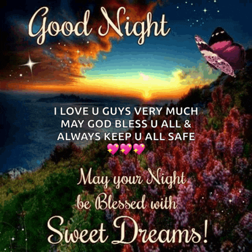 a good night message with a picture of a sunset and a butterfly