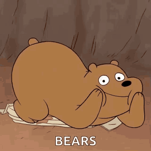 grizzly bear from we bare bears is laying down on the ground