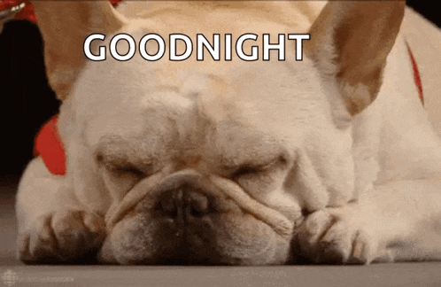 a french bulldog is laying down with its eyes closed and the words goodnight written above it