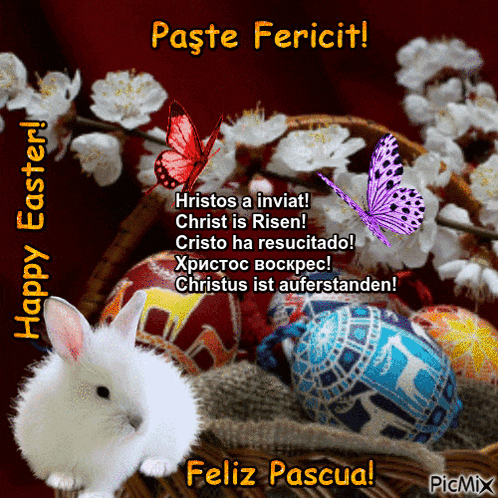 a picture of a bunny and easter eggs with the words paste fericit