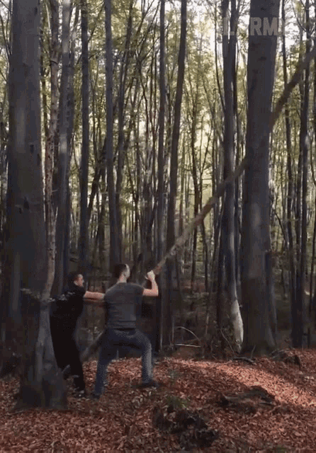 Fall What The Heck GIF - Fall What The Heck Oh My Gosh GIFs