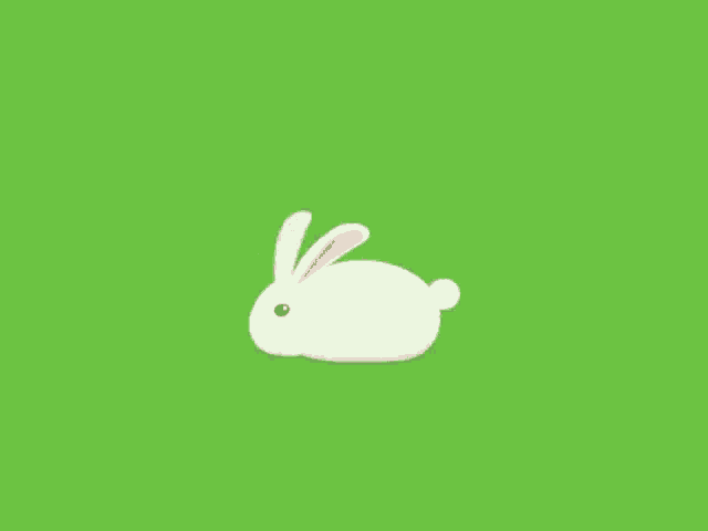 a white rabbit is walking on a green grass field .