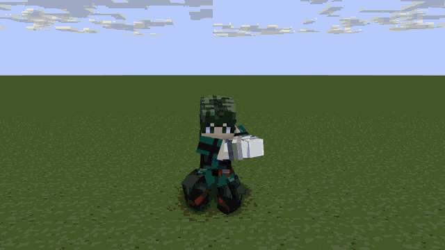 a group of minecraft characters are standing in a grassy field