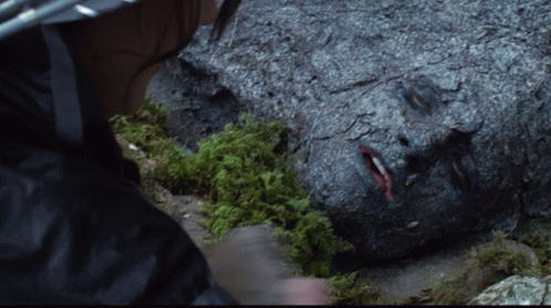 Is That A Rock Or A... GIF - Hunger Games Action Adventure GIFs