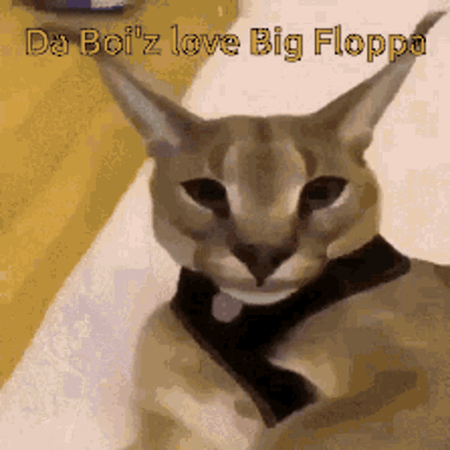 Big Floppa GIF - Big Floppa GIFs